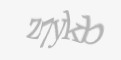 Защитный код